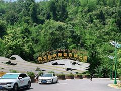 -西双版纳原始森林公园