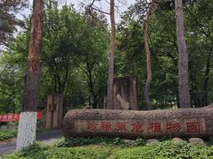 -黑龙江省森林植物园