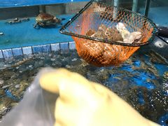 -宝燕海鲜(好爱店)