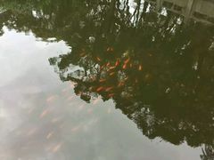 -普陀山风景名胜区-法雨禅寺