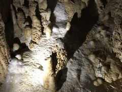 -怀托摩萤火虫洞