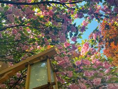 -洛阳市隋唐城遗址植物园