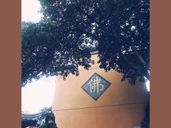 -五月罗马海鲜自助餐厅(陆家嘴店)