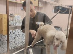 -FAELING PETS美天灵宠物(富力广场店)
