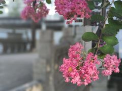 -南翔古镇