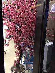 -佰亿Salon·烫染造型