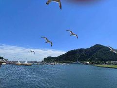 -大连老虎滩海洋公园