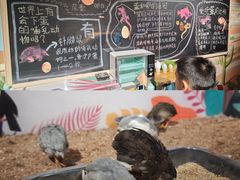 -正佳雨林生态植物园