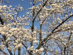 -玄武湖景区-情侣园游乐场