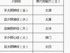 -裕和堂中医推拿艾灸(太古汇臻品店)