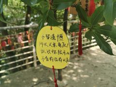 -巴倒烫陆派重庆火锅(南山店)