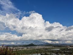 -羊山湖公园