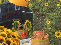 -蟹村草堂·苏式园林人文农家·大闸蟹