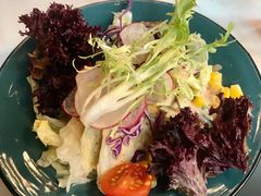 田园蔬菜沙拉-拉拉伯爵西餐厅(青田店)