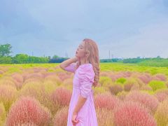 -映月湖中央公园