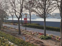 -东方体育中心(地铁站)