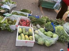 -利群海琴购物广场(商丘路店)