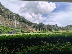-东澳岛