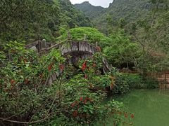-靖西鹅泉风景区