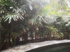 -龙达温泉生态城
