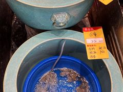 -舌尖上·霞浦滩涂海鲜·新闽菜(总店)