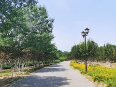 -永定河休闲森林公园