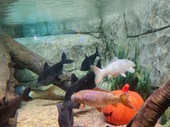 -沈阳海洋探索中心