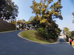 -黄埔油麻山森林公园