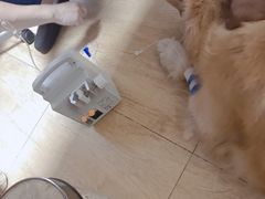 -美联众合宠物医院·爱萌分院·内外科·猫科中心