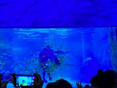 -常州海昌海洋探索馆
