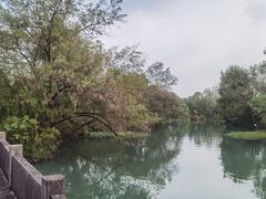 -西溪国家湿地公园