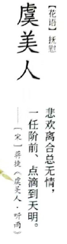 -芝士牛炭火烤肉