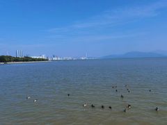-深圳湾公园(南山区)