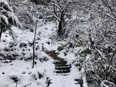 -抱龙峪