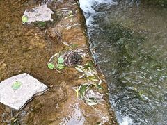 -沕沕水生态风景区