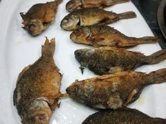 软骨鲫鱼-榕记(番禺总店)
