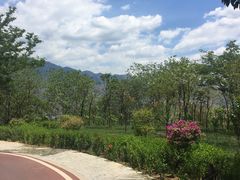 -攀枝花公园