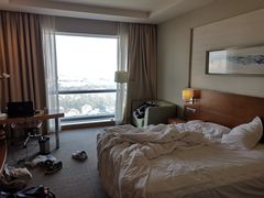-上海浦东康桥绿地假日酒店