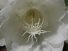 -大宁灵石公园西门票处
