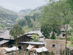 -MOJ coffee(瓯海泽雅水碓坑店)