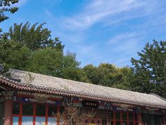 -天津水上公园
