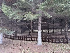 -长春世界雕塑园冰雪艺术天地