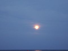 -第35届青岛国际啤酒节