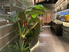 -湊湊火锅·茶憩(皇姑万象汇店)