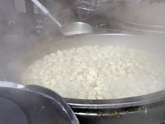-回坊马二饺子馆