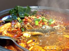-探鱼·鲜青椒爽麻烤鱼(广州花都来又来店)