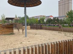 -太原动物园