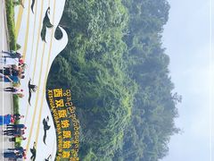 -西双版纳原始森林公园
