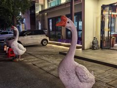 -巢湖名吃·东关老鹅汤(江南风情街店)