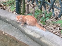 -红螺寺
